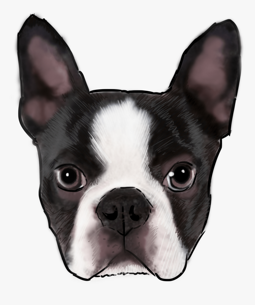 Png Boston Terrier, Transparent Png, Free Download