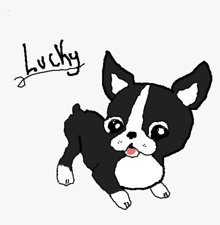 Boston Terrier Png - Kawaii Cute Boston Terrier, Transparent Png, Free Download