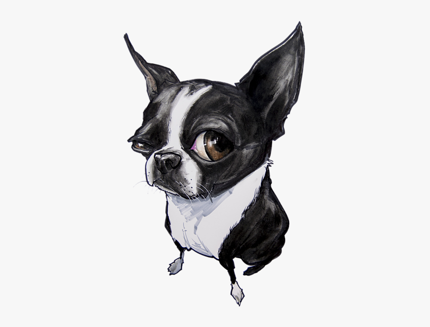 Drawing Of A Boston Terrier, HD Png Download, Free Download