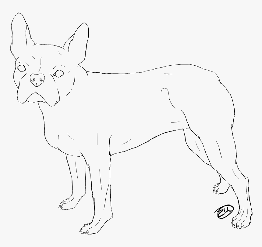 Boston Terrier Coloring Page - Line Art, HD Png Download, Free Download