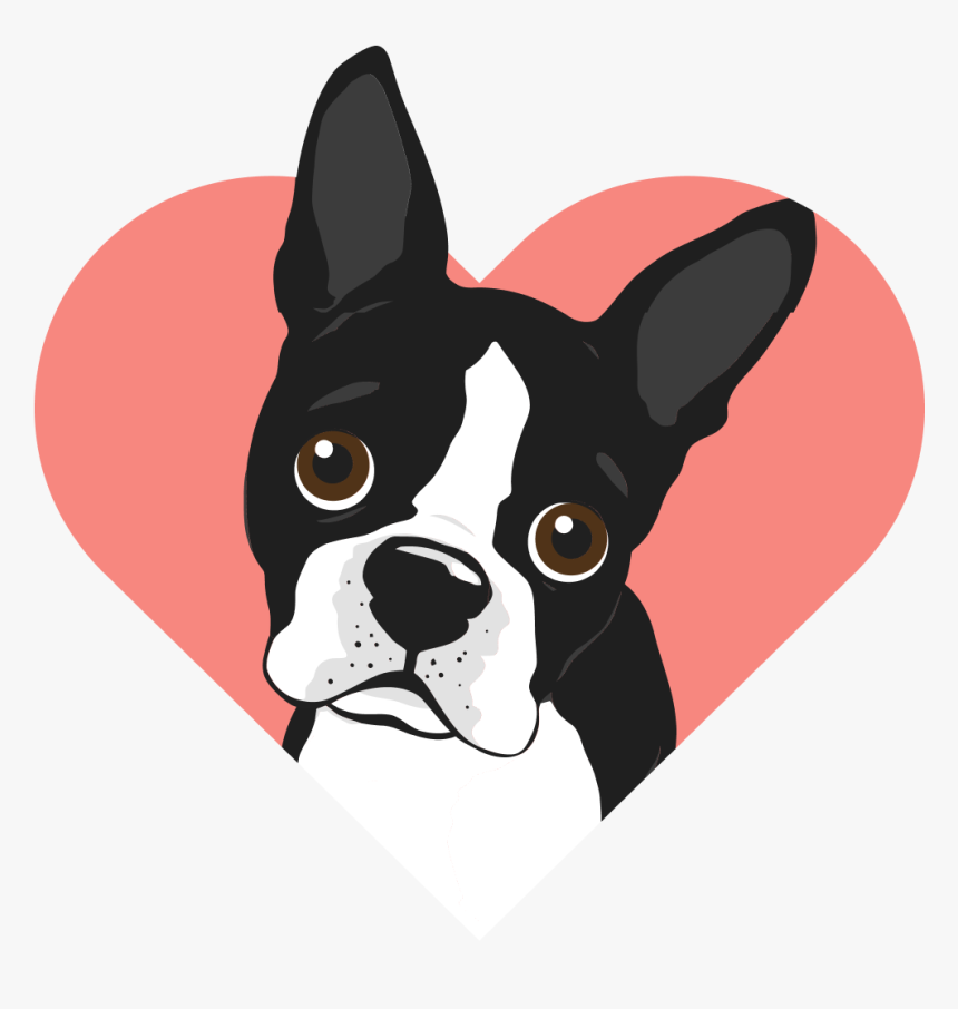 Hey Boston Terrier - Boston Terrier, HD Png Download, Free Download