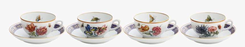 Merian Tea Cup & Saucer Set Of - Ceramic, HD Png Download, Free Download