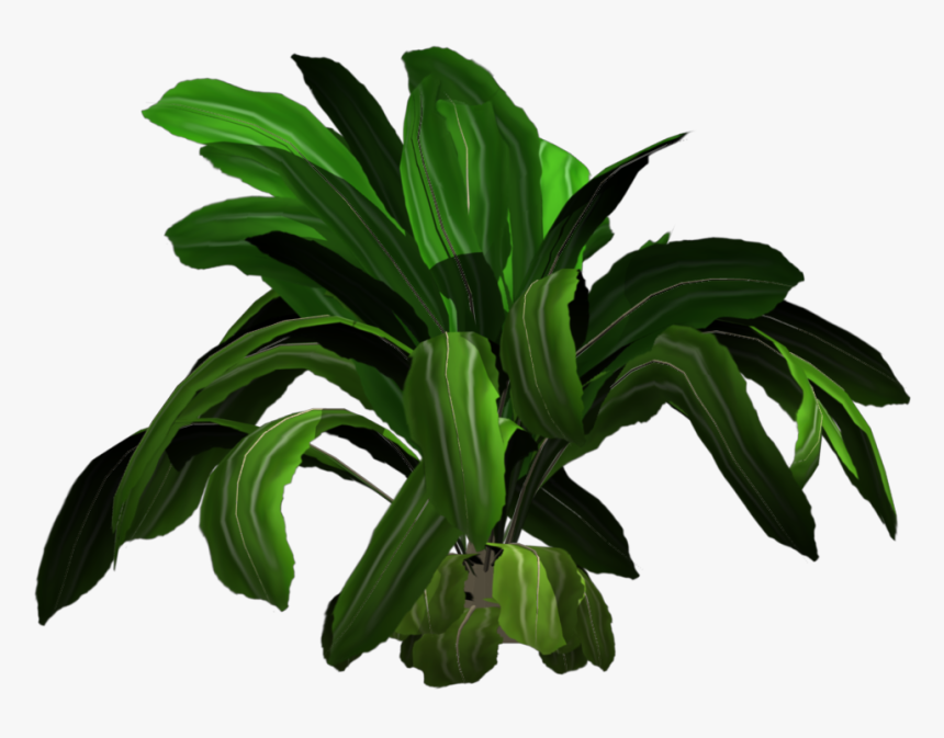 Desk - Tropical Plants Png, Transparent Png, Free Download
