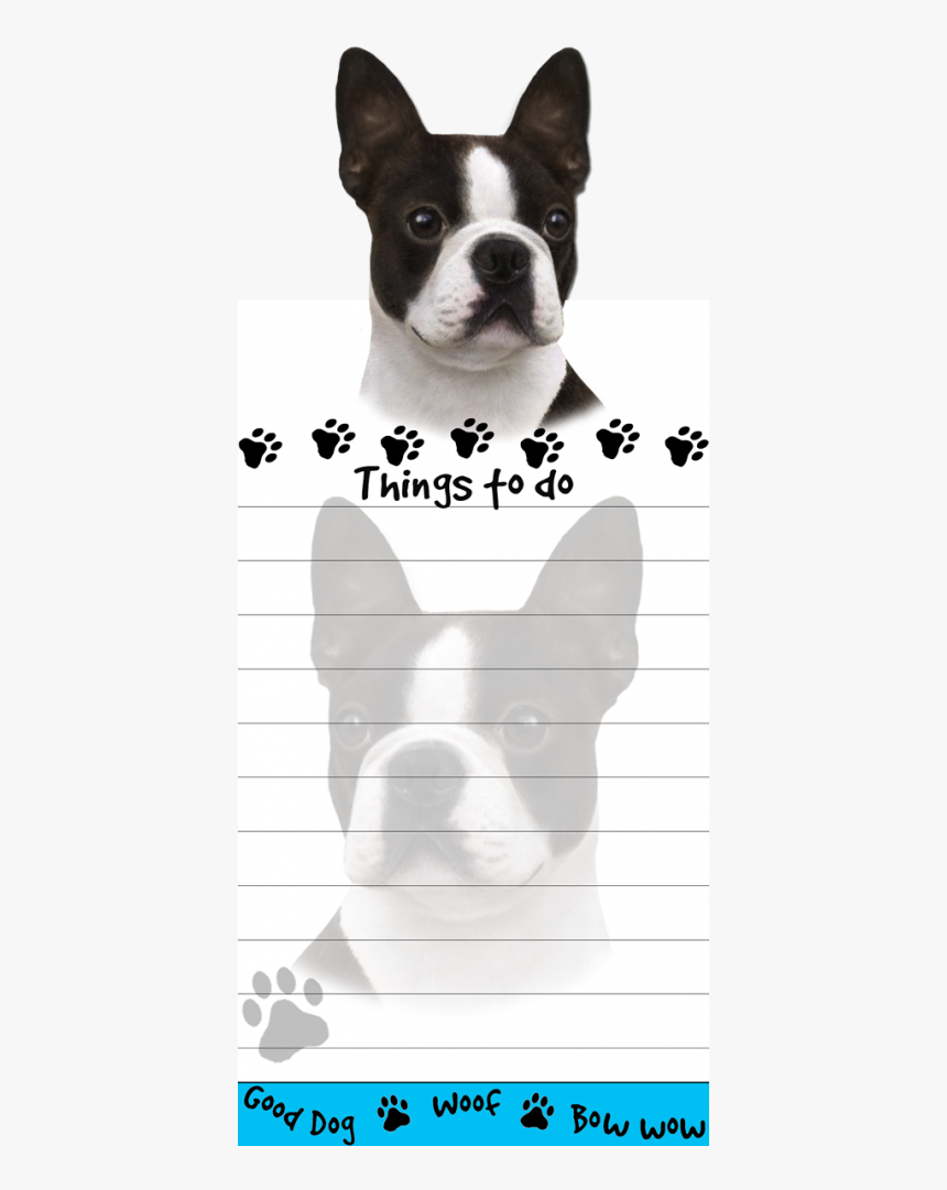 Boston Terrier - Dog, HD Png Download, Free Download