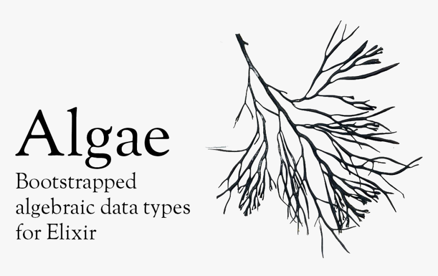Algae V0 - 9 - 0 Algae - Tree - Rose - Algae Branch - Algae Branch, HD Png Download, Free Download