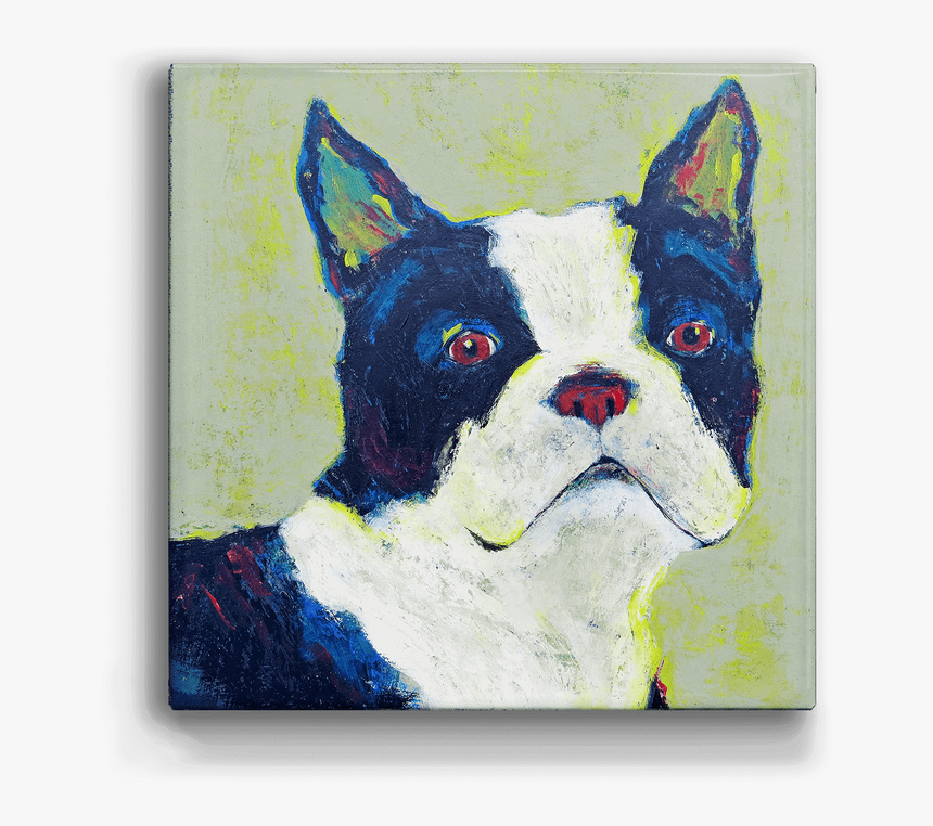 Boston Terrier, HD Png Download, Free Download