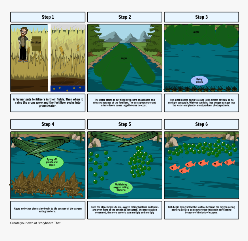 Eutrophication Steps, HD Png Download, Free Download