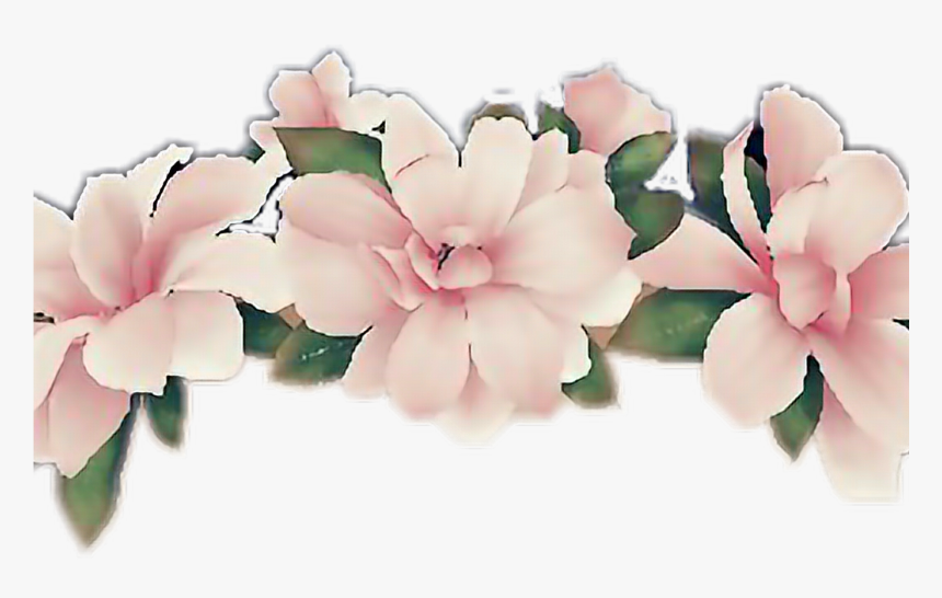 Flower Flowercrown Snapchatfilter Snapchat Pink - Flower Crown Clip Art, HD Png Download, Free Download