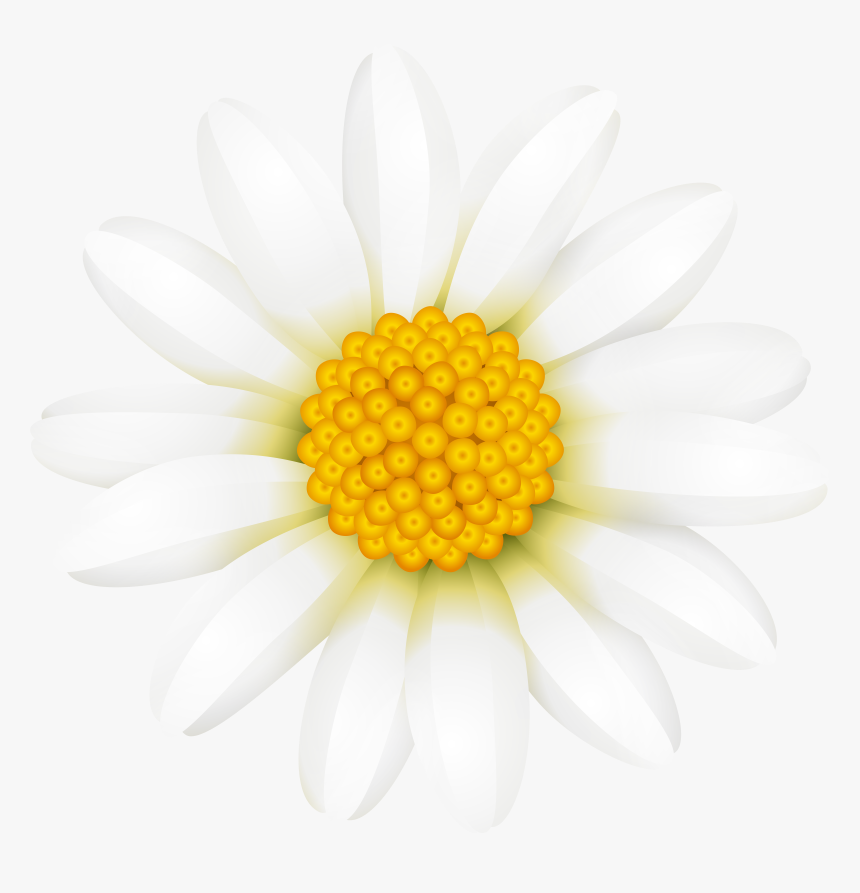 Transparent Flower Crown Png, Png Download, Free Download