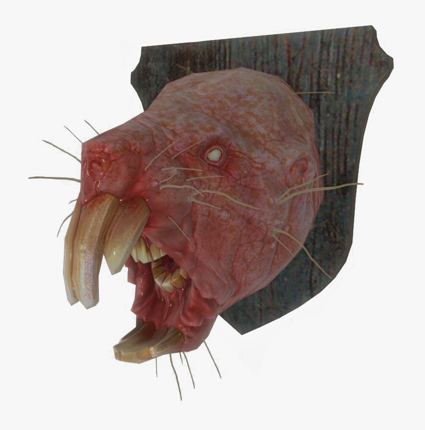 Clip Art Rat Fallout Wiki Fandom - Fallout Mole Rat Head, HD Png Download, Free Download