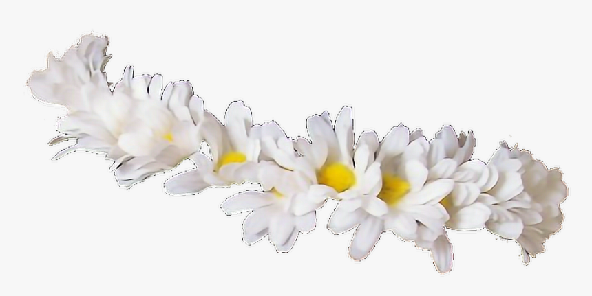 #crown #flowers #white #flower #flores #corona #coronadwflores - Flower Crown Tumblr Transparent, HD Png Download, Free Download