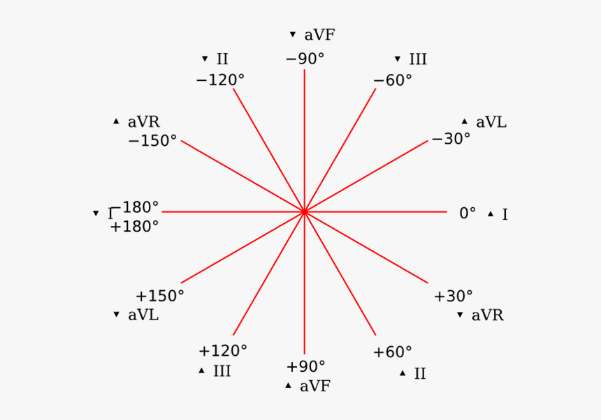 Sistema Hexaxial - Eje Electrico Del Corazon, HD Png Download, Free Download