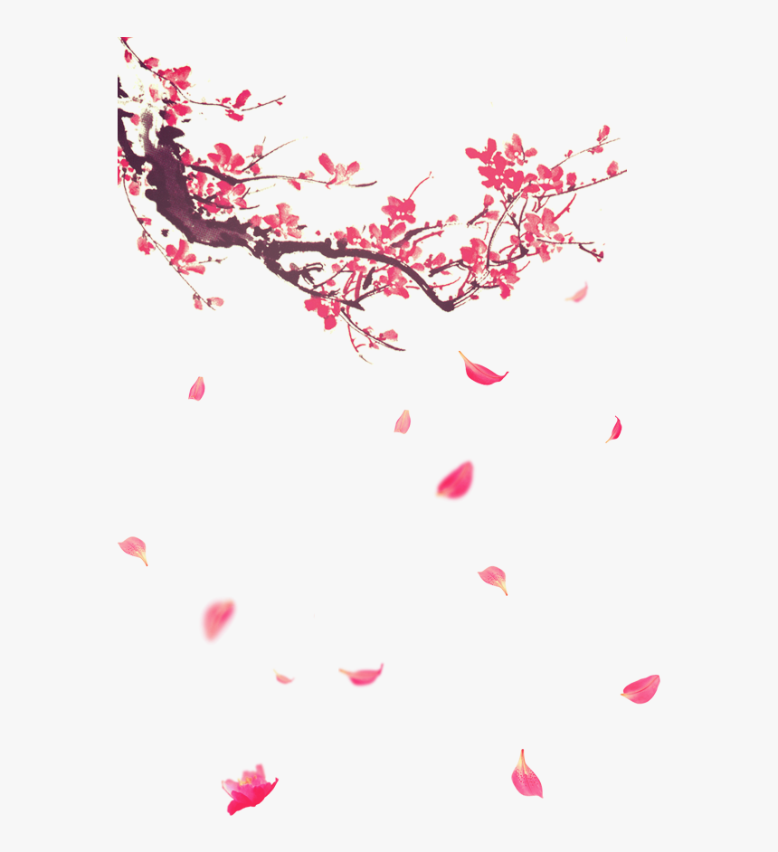 Plum Blossom Png, Transparent Png, Free Download