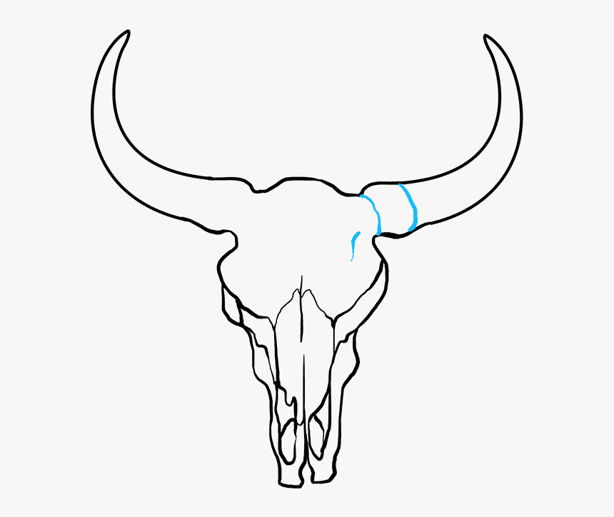 How To Draw Bull Skull - Bull Skull Drawing Step By Step, HD Png Download, Free Download