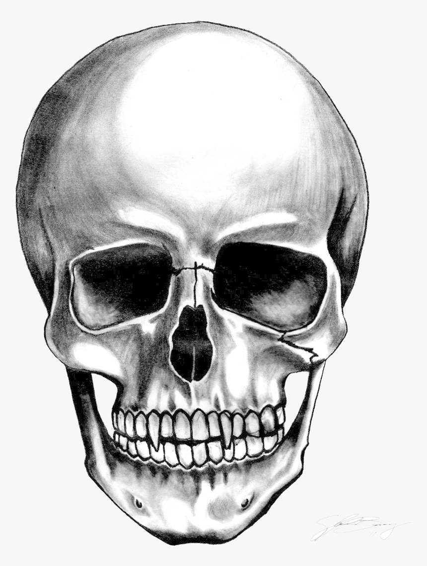 Skull Transparent Png, Png Download, Free Download