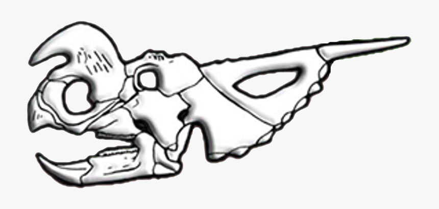 Einiosaurus Skull Diagram - Sketch, HD Png Download, Free Download