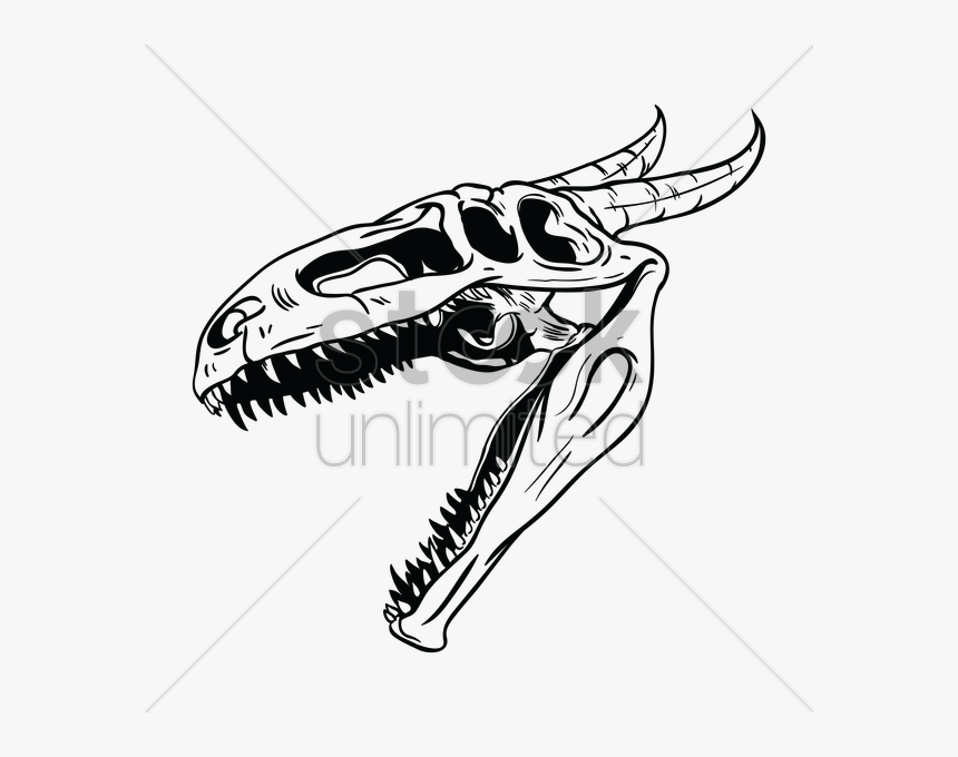 Dragon Skull Png - Dragon Skull Clipart, Transparent Png, Free Download