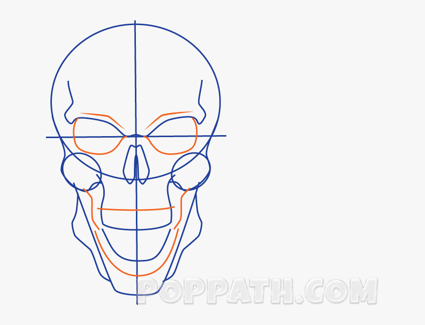 Skull, HD Png Download, Free Download