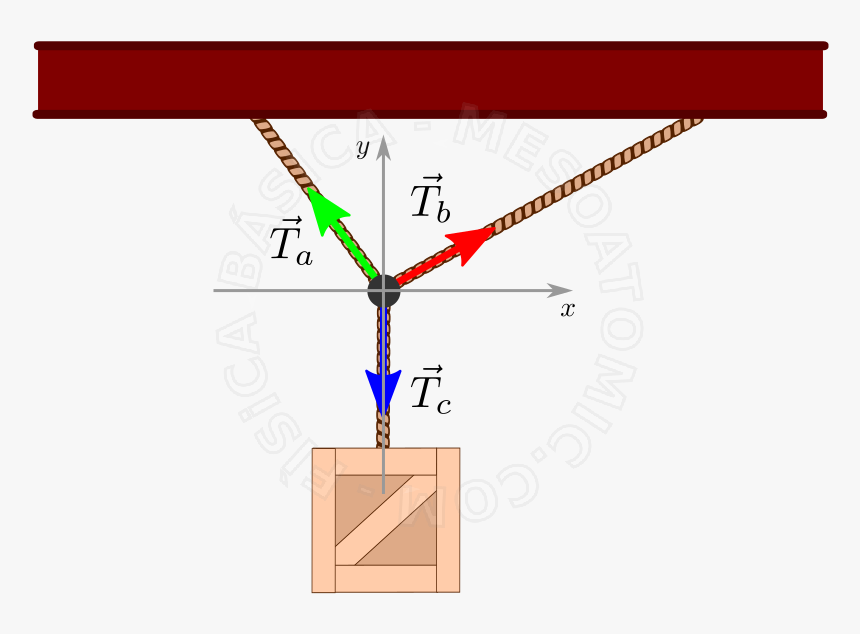 Equilibrio De Uma Particula, HD Png Download, Free Download