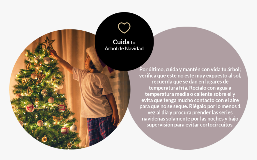 Por Último, Cuida Y Mantén Con Vida Tu Árbol - Christmas Ornament, HD Png Download, Free Download