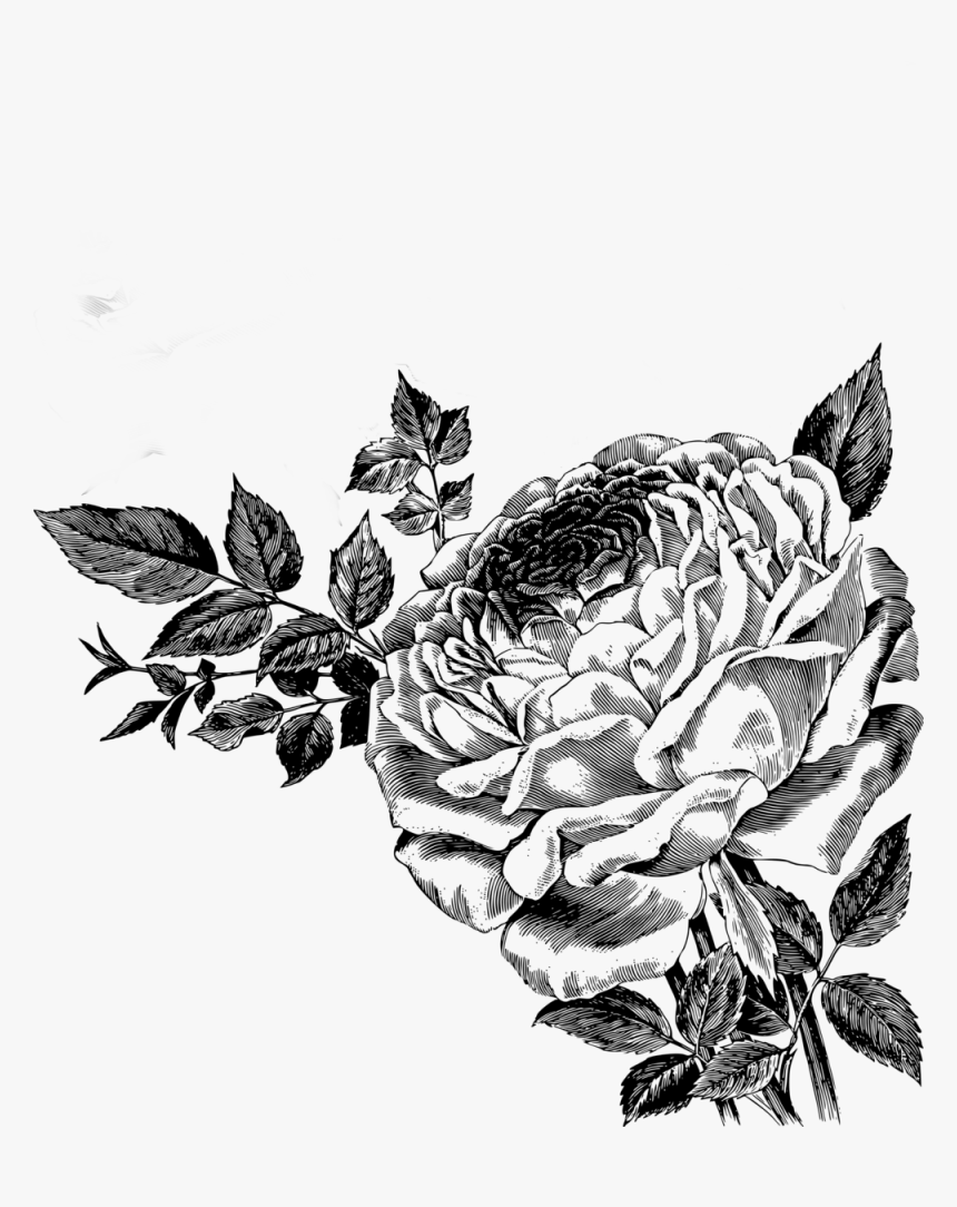 Black Flower Rose Vector ~ Flower