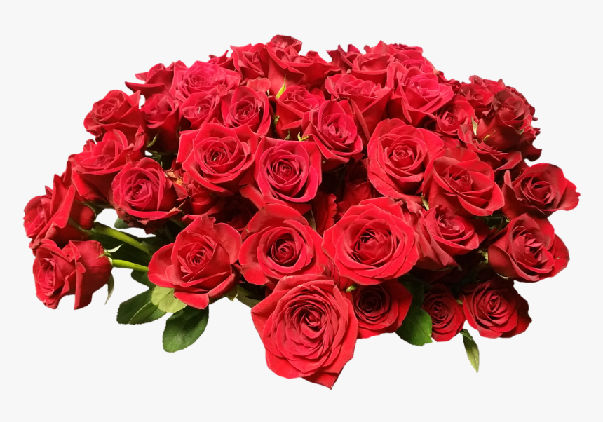 Rosas, Rosas Rojas, Flores, Flor, Belleza, Romántico - Mother's Day May 2019, HD Png Download, Free Download