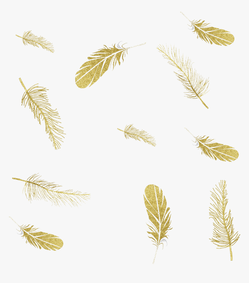 #mq #feather #feathers #gold #golden #falling - Falling Feathers Gold Png, Transparent Png, Free Download