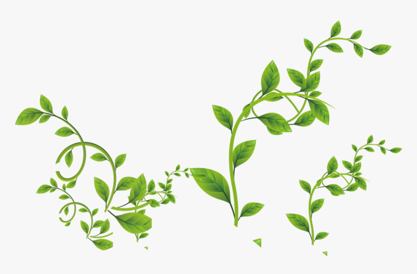 Green Leaves Png Download - Transparent Background Free Leaf Png, Png  Download - kindpng