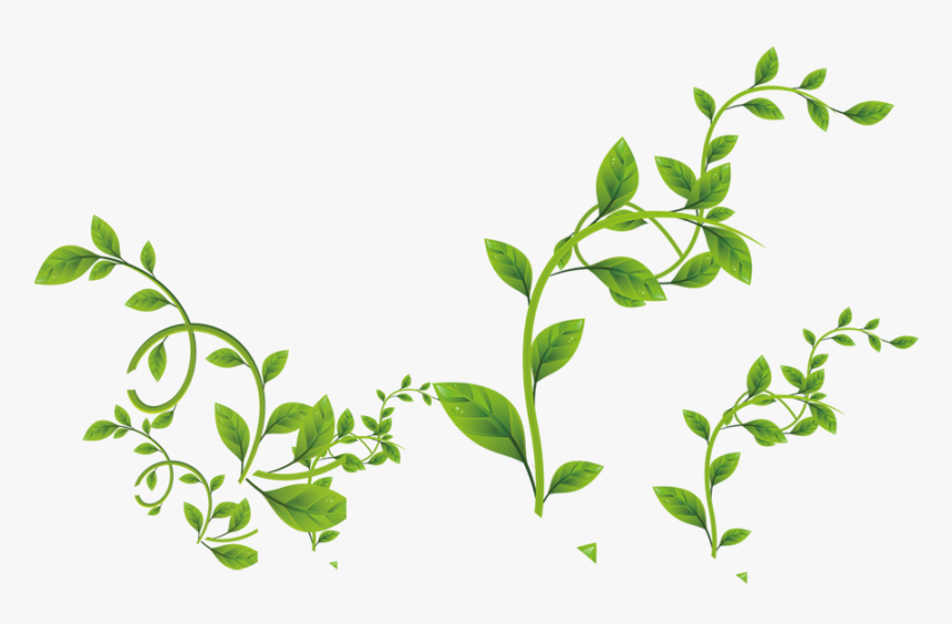 Green Leaves Png Download - Transparent Background Free Leaf Png, Png Download, Free Download