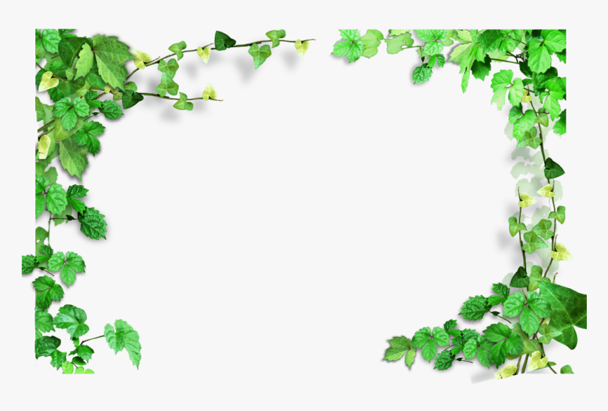 Ivy Clipart Watermelon Vine - Transparent Background Leaf Border, HD Png Download, Free Download