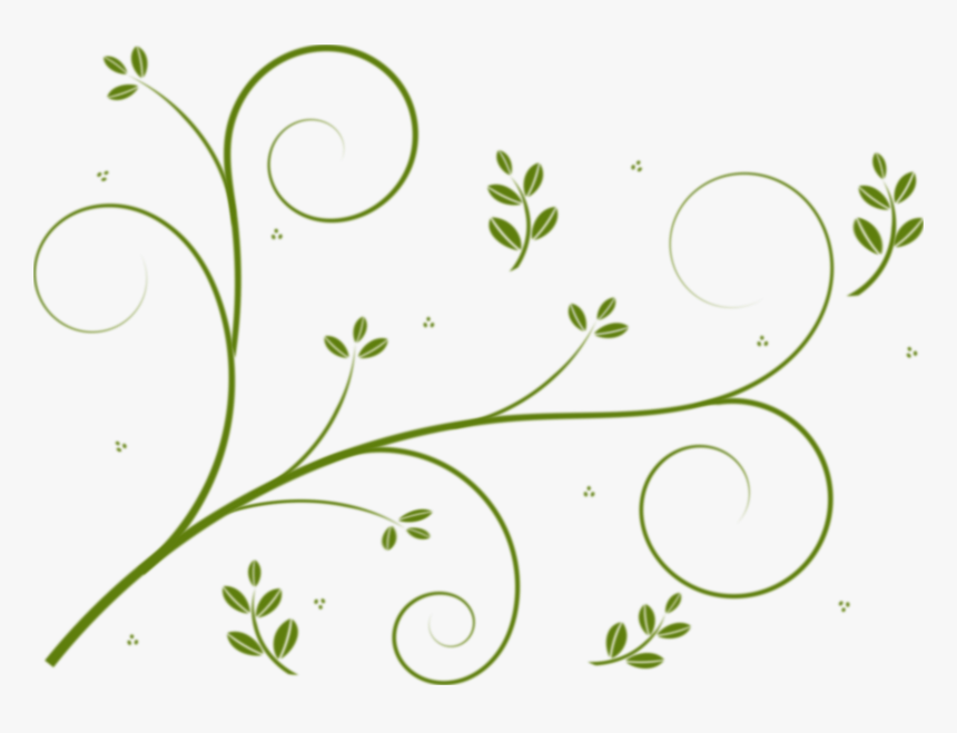 Plant,flora,leaf - Vines Clipart, HD Png Download, Free Download