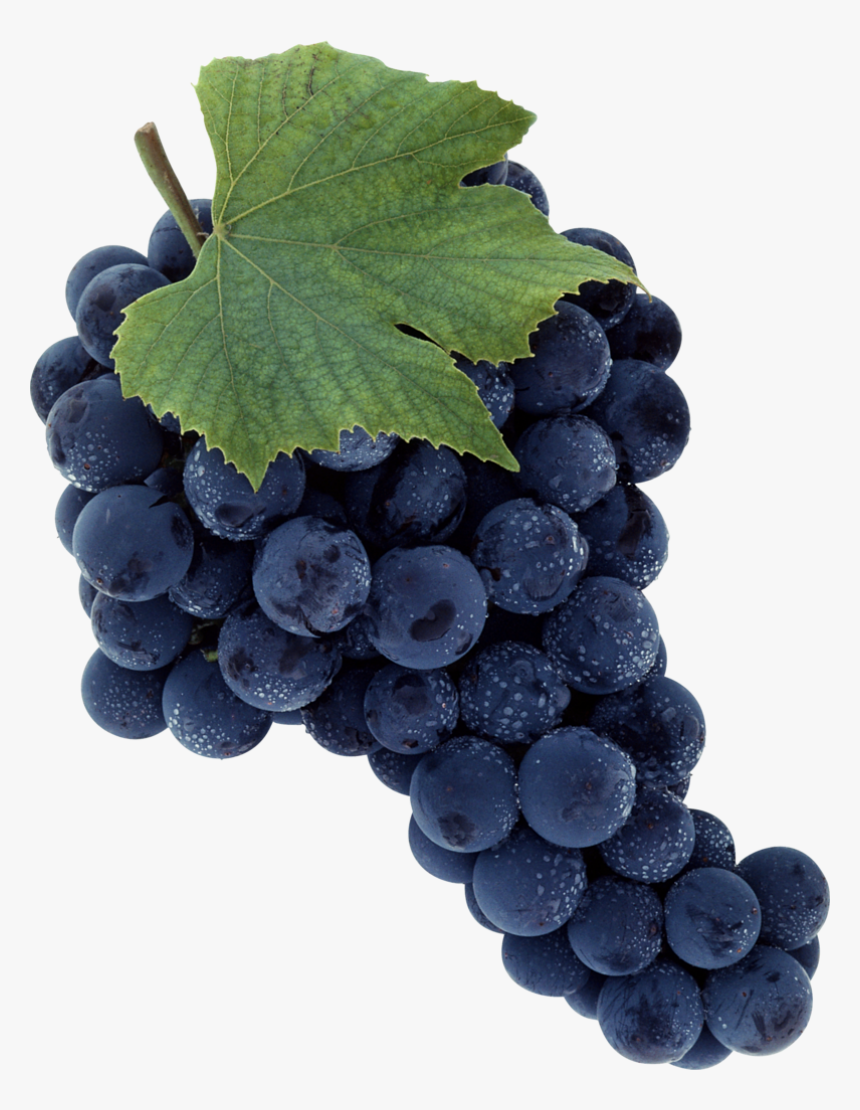 Grape Png Image Download, Free Picture - Grapes Fruit, Transparent Png, Free Download