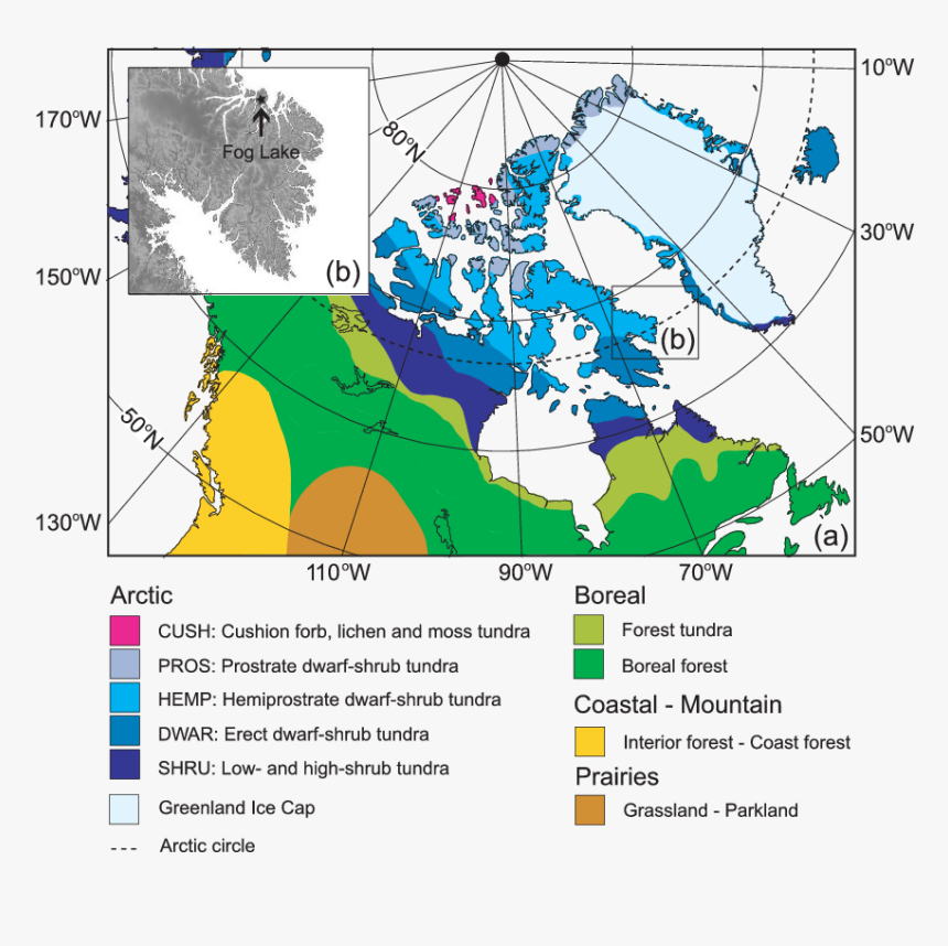 Main Vegetation Zones Of Northern North - Color Coded Map Of Canada, HD Png Download, Free Download