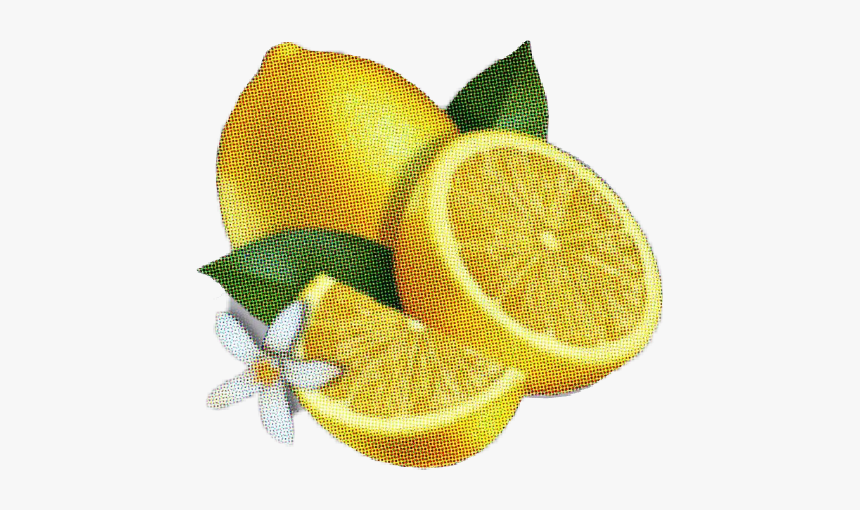 ##lemon #lemonade #beyonce #beyoncé #beyonceknowles - Dibujo De Una Lima Fruta, HD Png Download, Free Download