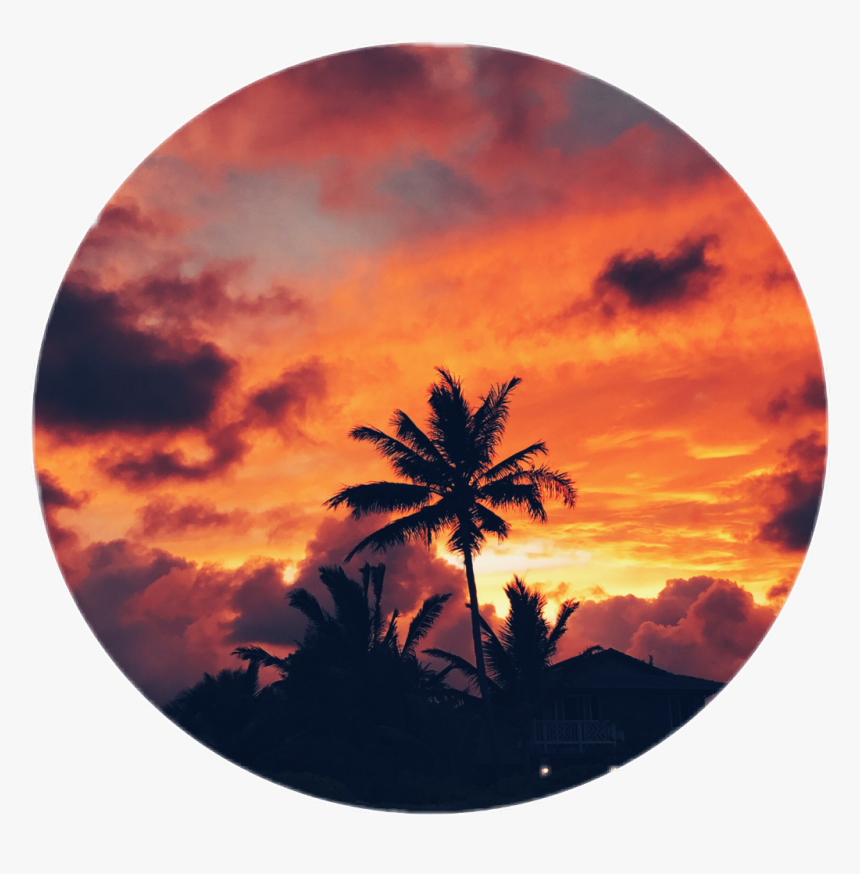 Palmeira Sticker - Sunset - Sunset Sticker Png, Transparent Png, Free Download