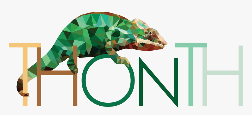 Destiny Matador 64 Png Clipart Free Library - Common Chameleon, Transparent Png, Free Download