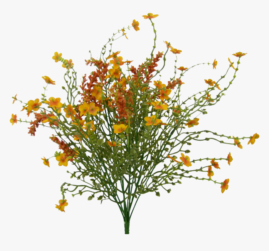 Orange Baby"s Breath Filler Bush - Bouquet, HD Png Download, Free Download