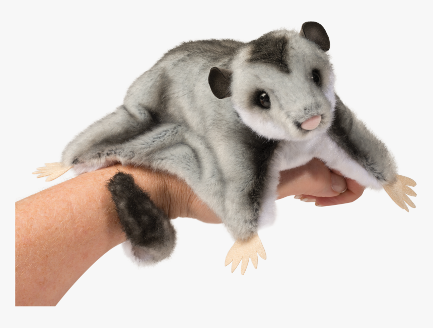 Sugar Glider Stuffed Animal, HD Png Download, Free Download