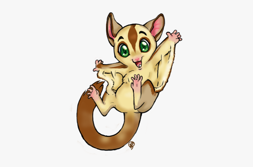 Sugar Glider Clipart, HD Png Download, Free Download