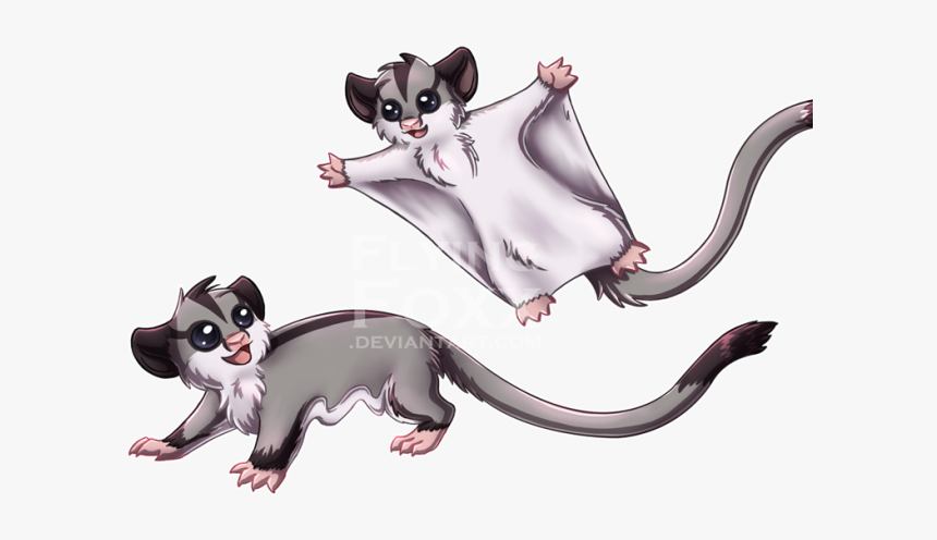 Sugar Glider Clipart Possum - Sugar Glider Cartoon Png, Transparent Png, Free Download