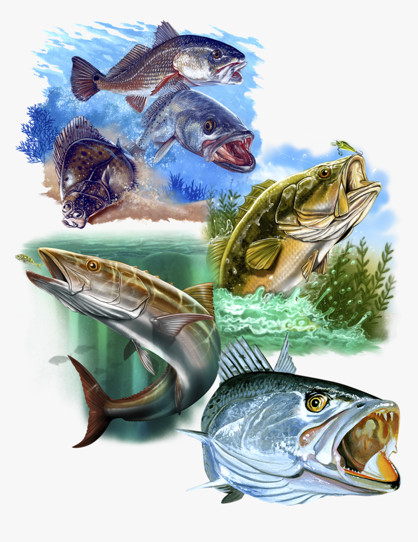 Great Dane Graphics Fishing Collage - Marlin, HD Png Download, Free Download