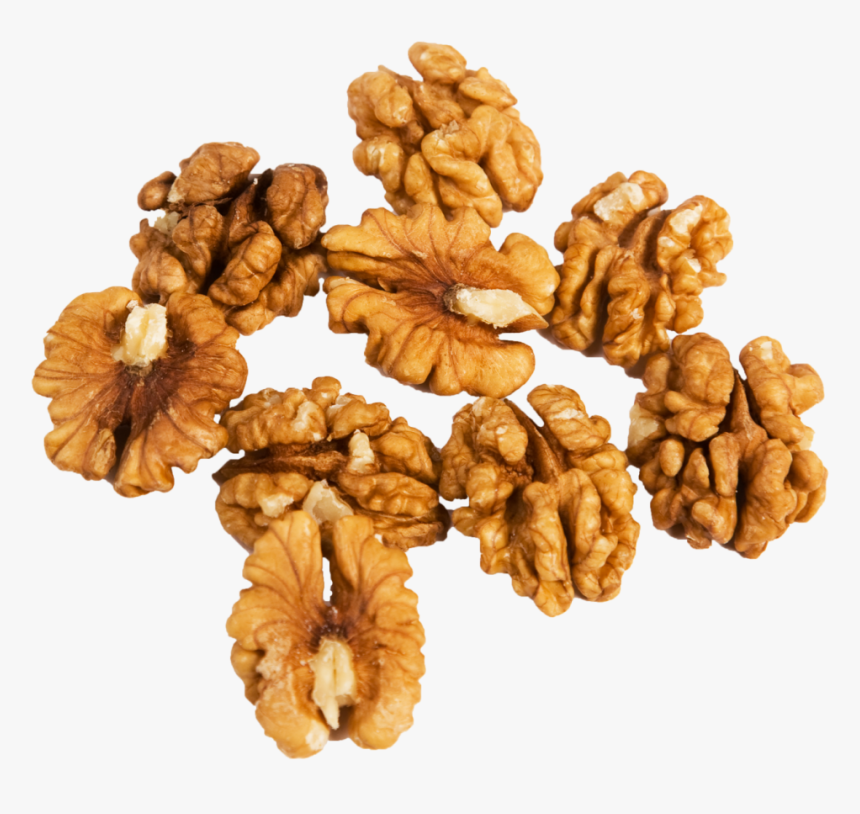 Walnut Png Images Free Download - Walnuts Png, Transparent Png, Free Download