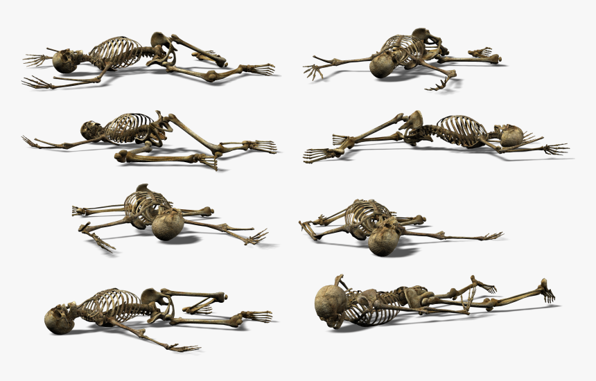 Skeleton Png - Скелеты Пнг, Transparent Png, Free Download