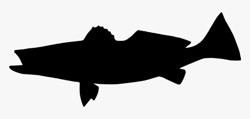 Fly Fishing Angling Trout T-shirt - Silhouette, HD Png Download, Free Download