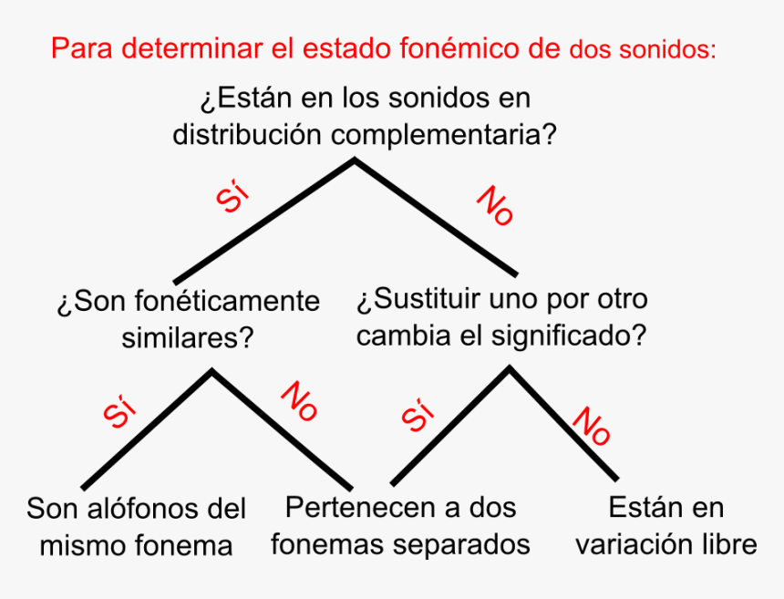 Gráfico Determinar Fonema Alófono - Alofono, HD Png Download, Free Download