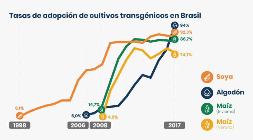 Graficos Sobre Alimentos Transgenicos, HD Png Download, Free Download