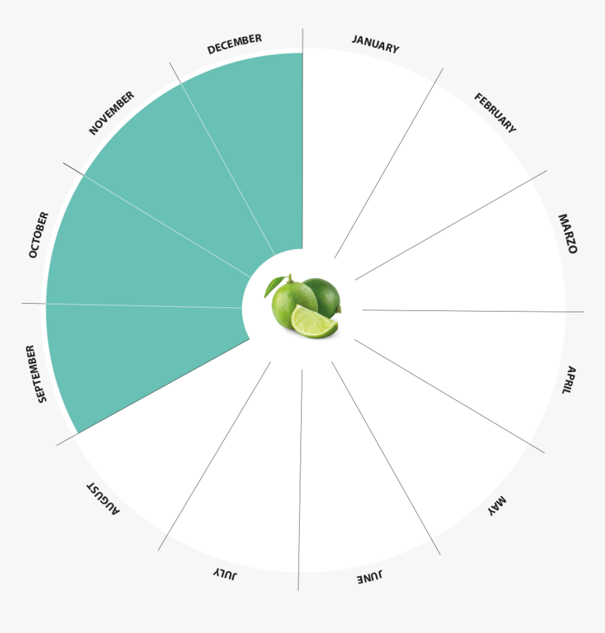 Bio Limes Production Calendar - Circle, HD Png Download, Free Download