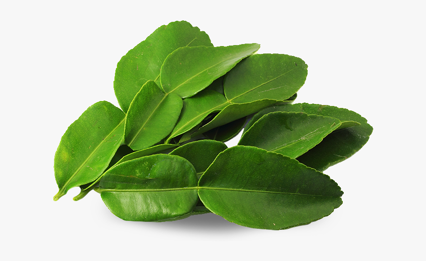 Lime Leaves, HD Png Download, Free Download