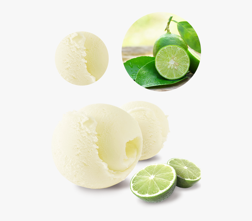 Chanh - Lime, HD Png Download, Free Download
