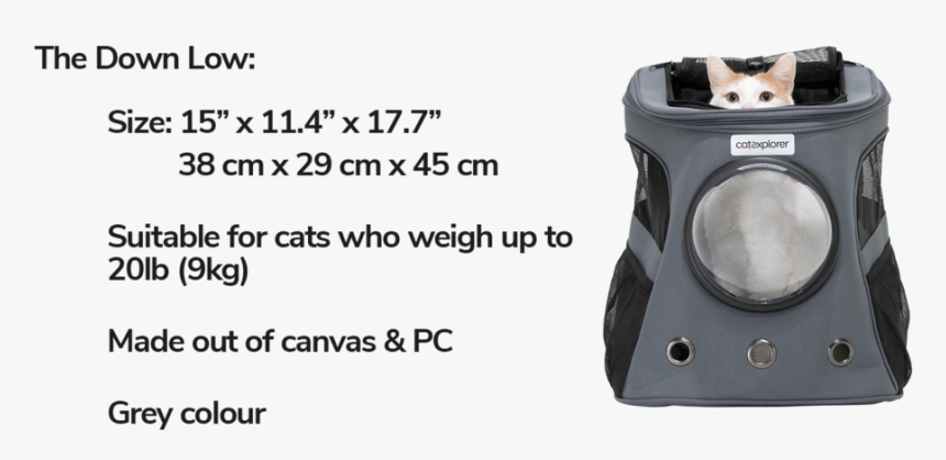 The Fat Cat Backpack Apollo Details - Reflex Camera, HD Png Download, Free Download